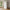 Nanna skab i massiv fyrretræ – hvidmalet RAL 9010 – billede 1
