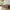 Idun TV-bord med lys bred i massiv egetræ – tabacco – billede 1