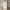 Nanna skab i massiv fyrretræ – hvidmalet RAL 9010 – billede 2
