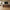 Idun TV-bord bred i massiv egetræ – tabacco – billede 2