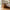 Embla sengebord i fyrretræ, højre og med egefarvet plade – billede 2
