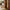 Idun TV-bord bred i massiv egetræ – tabacco – billede 3