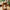 Hermod sidebord til planter i massiv egetræ – billede 3