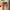 Hermod sidebord til planter i massiv egetræ – billede 3