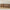 Idun TV-bord med lys bred i massiv egetræ – tabacco – billede 23