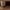 Idun TV-bord bred i massiv egetræ – tabacco – billede 33
