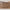 Idun TV-bord med lys i massiv egetræ – tabacco – billede 26