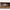 Idun TV-bord med lys bred i massiv egetræ – tabacco – billede 32