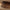 Idun TV-bord med lys bred i massiv egetræ – tabacco – billede 33