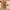 Hermod sidebord med avisholder i massiv egetræ – billede 26