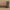 Idun TV-bord med lys bred i massiv egetræ – tabacco – billede 37