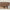 Mane sofabord hjørne i massiv egetræ – tabacco – billede 9